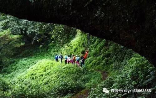吸血鬼的谜语