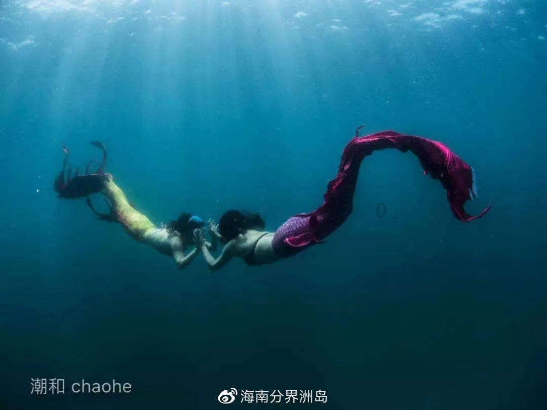 小魔仙的晚礼服
